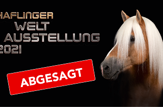 Haflinger Weltausstellung | ABGESAGT