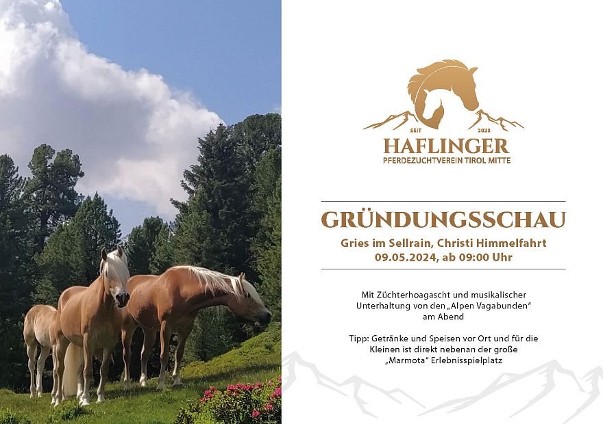 Poster Anniversary 65 years Haflinger