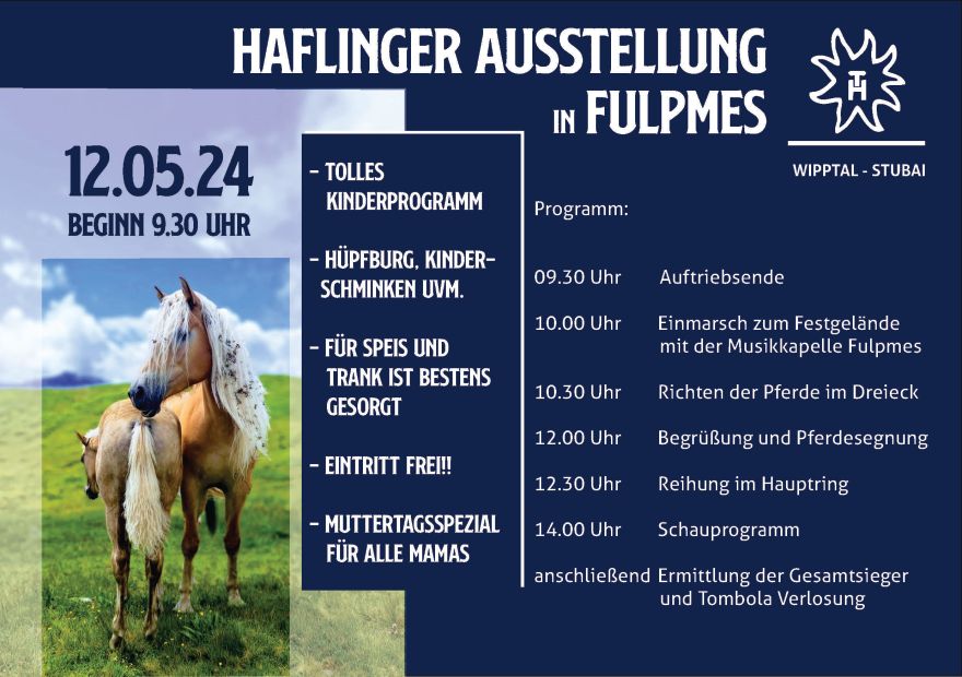 Haflinger club exhibition Wipptal - Stubai