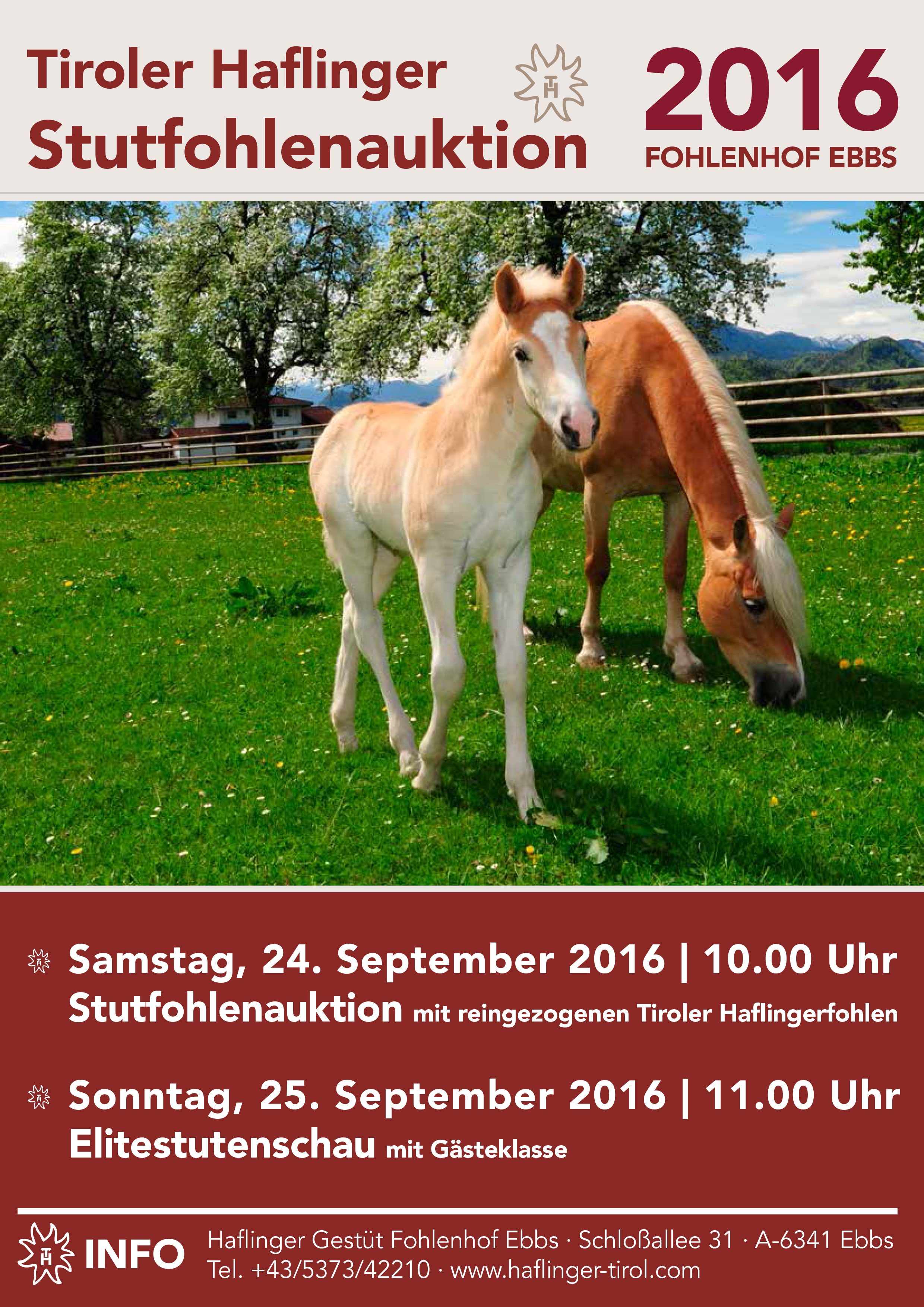 http://www.haflinger-tirol.com/media/fohlenhof-stutfohlenauktion-elitestutenschau.jpg