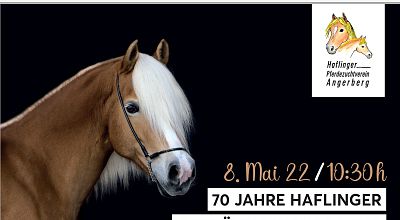 Die Ergebnisse der Jubiläumsausstellung - 70 Jahre Haflinger Pferdezuchtverein Angerberg