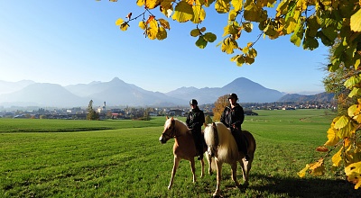 Reitunterricht und Reitstunden