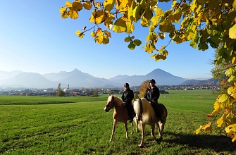 Reitunterricht und Reitstunden