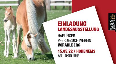 Die Ergebnisse der Landesausstellung Haflinger Pferdezuchtverein Vorarlberg in Hohenems