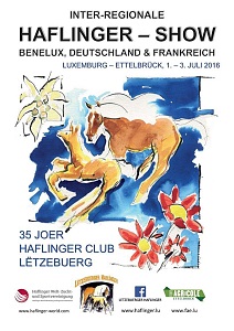 Haflinger-Show-Luxemburg