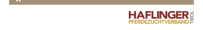 Haflinger Pferdezuchtverband