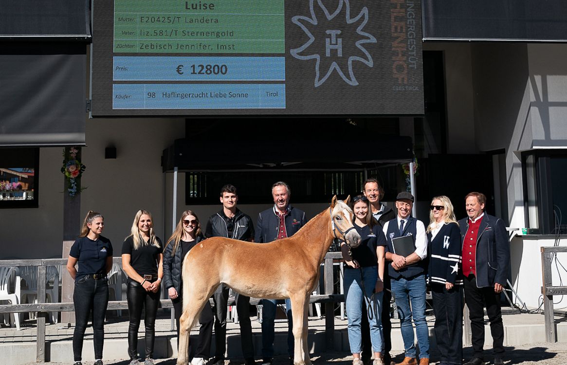 cdn-neu-dressur-fohlenhof-ebbs-juni-2026-anita-baumgartner-7-2