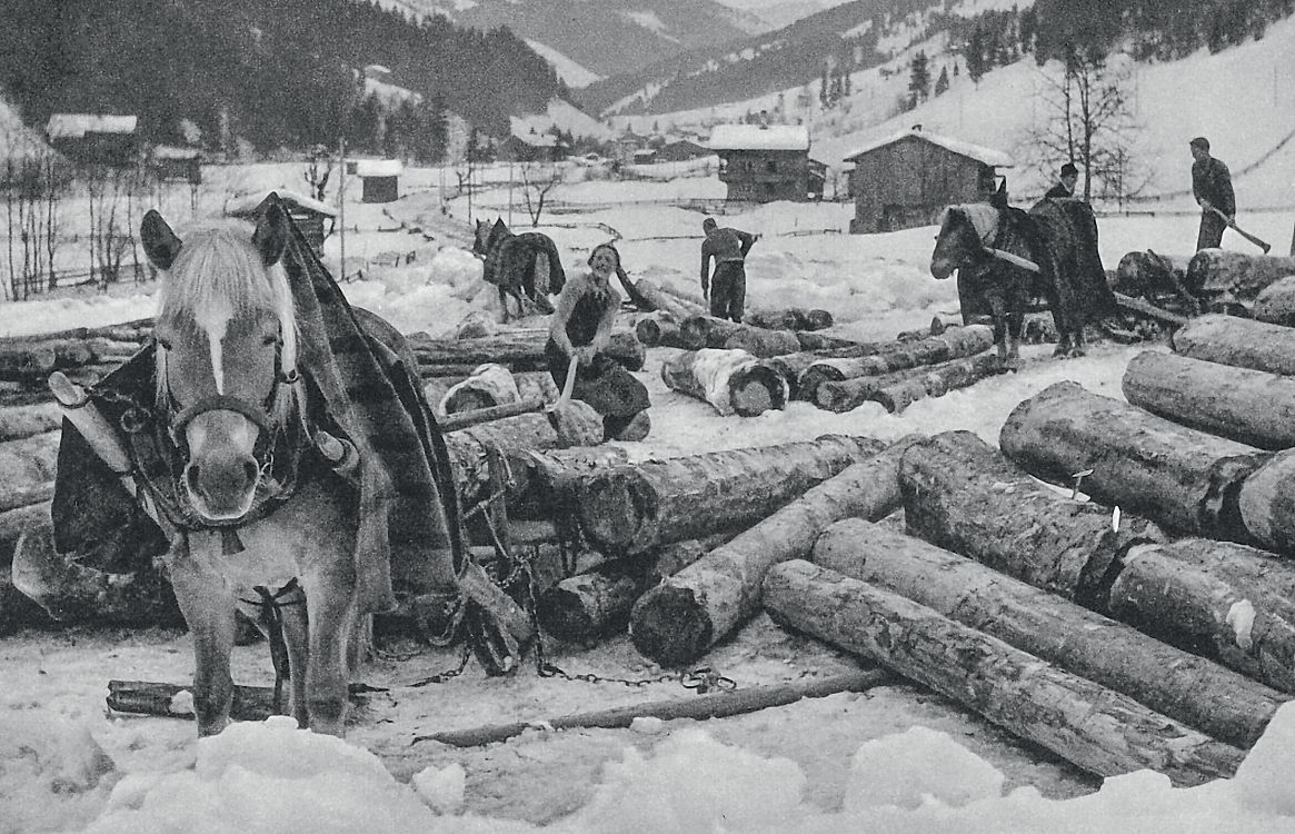 Schwarz-weiß-Foto einer Winterlandschaft mit Personen und Pferden, die Holzstämme im Schnee transportieren. Berglandschaft und Holzhütten im Hintergrund.
