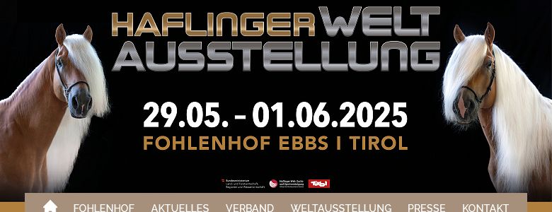 https://www.haflinger-tirol.com/media/newsletter/header-820x360px.jpg