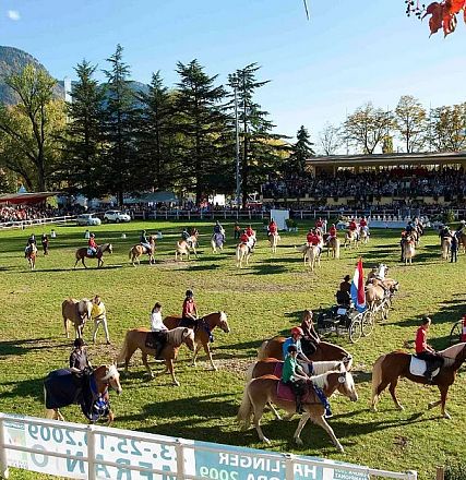 Ein belebtes Pferderennen im Freien, umgeben von malerischer Berglandschaft. Viele Reiter und Zuschauer füllen die grüne Arena unter einem klaren Himmel.