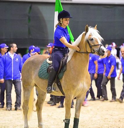 Eine Person in blauer Kleidung reitet auf einem Haflinger-Pferd in einer Halle. Im Hintergrund sind mehrere Personen in ähnlicher Kleidung zu sehen.