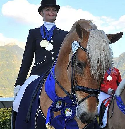 Reiter in blauer Uniform auf einem braunen Pferd, das blaue Medaillen trägt. Im Hintergrund sind Berggipfel und ein blauer Himmel zu sehen.