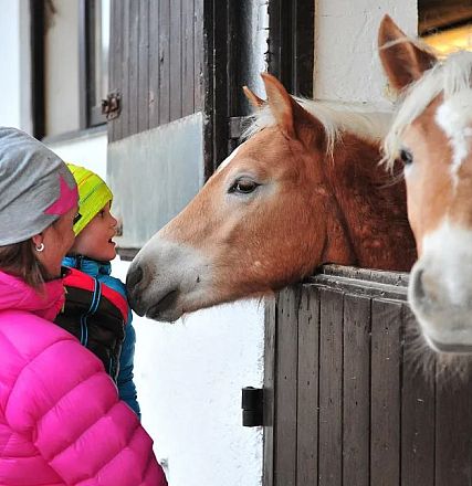 Zwei Personen in bunter Winterkleidung stehen vor einem Pferdestall, wo sie zwei freundliche, hellbraune Pferde streicheln. Die Szene ist warm und herzlich.