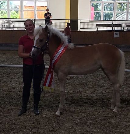 Un cavallo marrone chiaro con una criniera bianca indossa un nastro rosso. Accanto, una persona in maglietta rossa sorride. Sullo sfondo c'è un recinto.