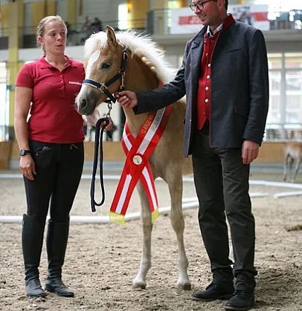 Un cavallo marrone chiaro con criniera bianca indossa una fascia rossa e bianca. Due persone accanto sorridono, una donna a sinistra e un uomo a destra.