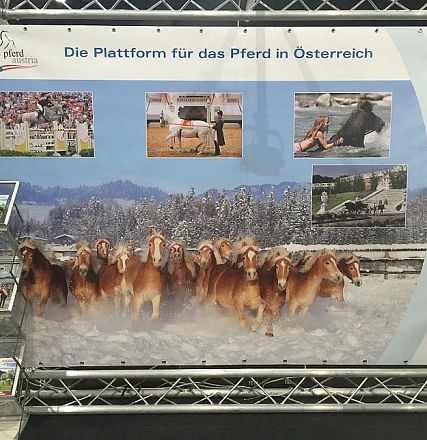 Ein Messestand mit einem großen Poster und Broschürenhalter. Das Poster zeigt Pferde in verschiedenen Szenen und trägt den Text "Die Plattform für das Pferd in Österreich".