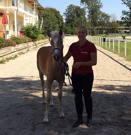 Donna con maglietta rossa guida un cavallo su un sentiero sabbioso in un ambiente sereno con recinti bianchi e vegetazione sullo sfondo.