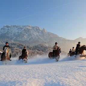2015-01-01fohlenhof-ebbs-ausreitenimschneemitzahmerkaiser-fotograf-christiankapfinger-3