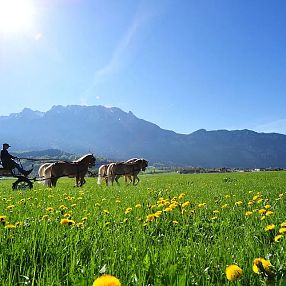 A vibrant landscape with a horse-drawn carriage on a lush green field under a clear blue sky. Majestic mountains are visible in the background.