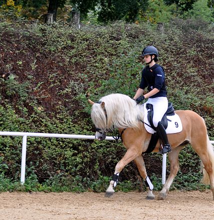 2026-hlp-haflinger-reiten-wimbledon-2-1