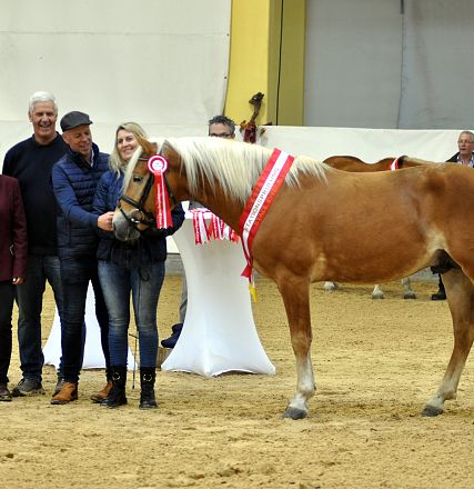 2026-hlp-haflinger-siegerehrung-waldkoenig-8-1