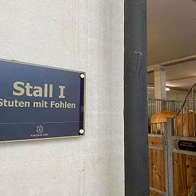 A stable sign reading "Stall I: Stuten mit Fohlen" is mounted on a light wall. In the background, wooden and metal structures of horse stalls are visible.