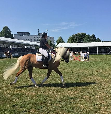 Ein Reiter in dunkler Kleidung auf einem braunen Pferd nimmt an einem Wettbewerb in einem großen, grünen Außenbereich teil, umgeben von Zuschauerrängen.