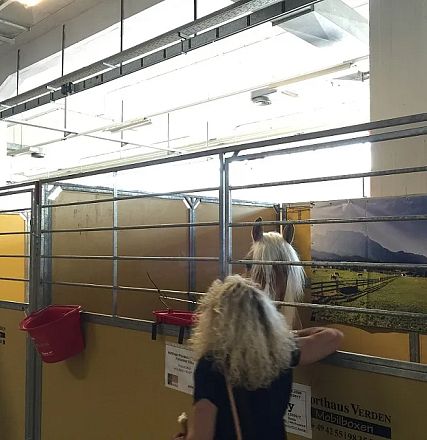 Eine Frau mit lockigem Haar steht vor einem Pferdegehege in einer Halle. Im Hintergrund sind Metallgitter und eine Abbildung von Landschaften zu sehen.