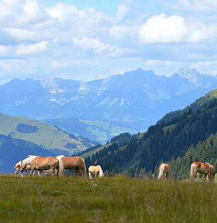 Alexandra and Rainer Nutz