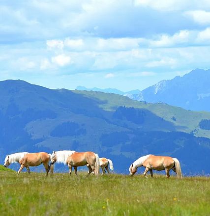 Alexandra and Rainer Nutz