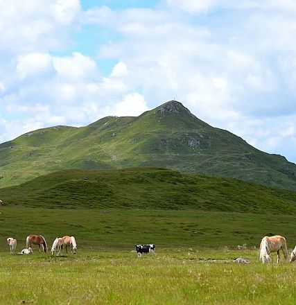 Alexandra and Rainer Nutz