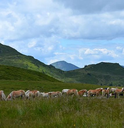 Alexandra and Rainer Nutz