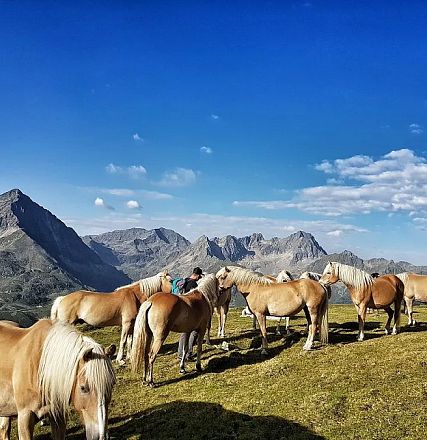 Christoph and Paul Dornauer from Brandberg Zillertal
