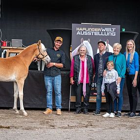 Eine Gruppe von Menschen steht neben einem Haflinger-Pferd. Sie posieren vor einem Schild mit der Aufschrift "Haflinger Welt Ausstellung" auf einem Ausstellungsgelände.