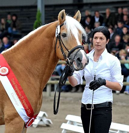 Eine Frau führt ein braunes Pferd mit weißer Mähne bei einer Veranstaltung vor. Das Pferd trägt eine rote Siegerbinde. Im Hintergrund sitzen Zuschauer.