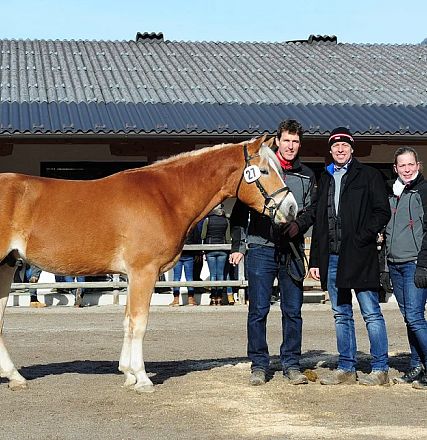 Tre persone in piedi accanto a un cavallo marrone chiaro durante una giornata di sole. Sullo sfondo, un edificio con un tetto grigio.