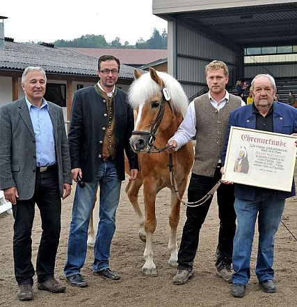 Vier Männer stehen neben einem Haflinger-Pferd in einem Reitstadion. Einer hält ein Zertifikat. Es ist ein sonniger Tag mit Zuschauern im Hintergrund.