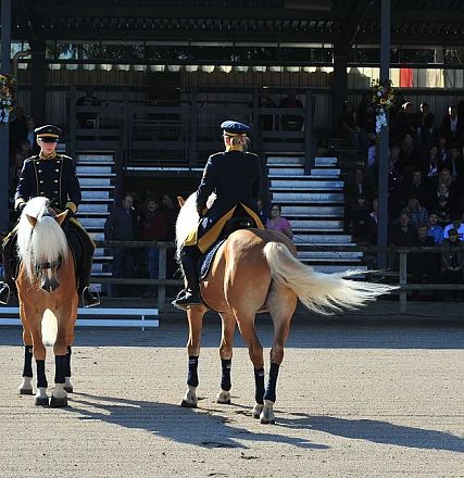Fotograf Bob Shouten