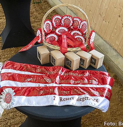 Ein Tisch mit roten und weißen Rosetten, Bändern und kleinen Boxen. Die Bänder tragen die Aufschrift „Reserve Sieger“ und „2. Reserve Sieger“ in Gold.
