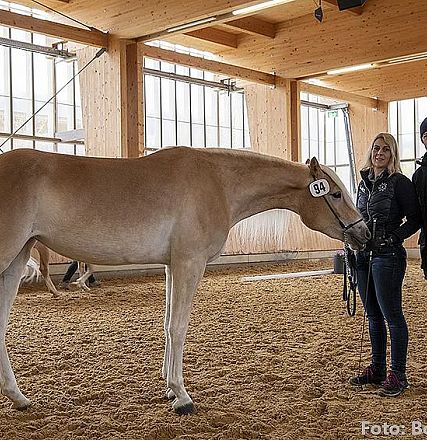 Ein helles Pferd steht in einer Reithalle neben zwei Personen. Die Halle ist aus Holz mit großen Fenstern. Die Atmosphäre wirkt ruhig und professionell.