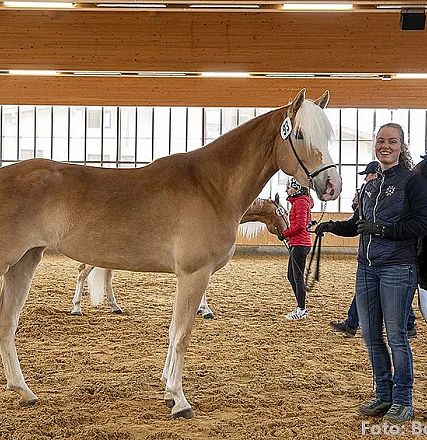 Zwei Personen präsentieren ein hellbraunes Pferd in einem Reitstall. Das Pferd trägt eine Nummer, und im Hintergrund sind weitere Personen zu sehen.