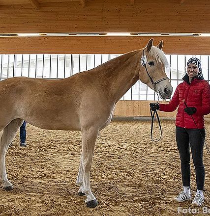 Zwei Menschen in einer Reithalle stehen neben einem hellbraunen Pferd. Die Frau hält das Pferd am Halfter, beide lächeln. Im Hintergrund sind weitere Pferde.