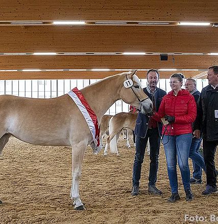 Drei Personen stehen neben einem prämierten Pferd mit rotem Band in einer Indoor-Reithalle. Sie lächeln und scheinen stolz auf das Tier zu sein.