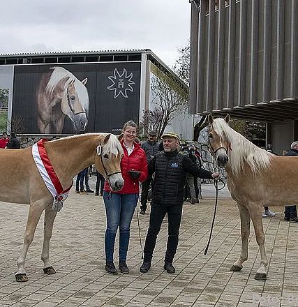 Zwei Personen posieren mit zwei Haflingerpferden vor einem modernen Gebäude. Ein Pferd trägt ein rotes Band, im Hintergrund ein großes Pferdebild.