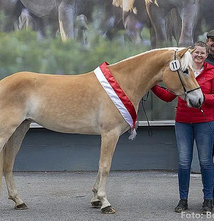 Ein hellbraunes Pferd mit weißer Mähne trägt eine Gewinner-Schärpe. Daneben stehen zwei Frauen und ein Mann, alle lächelnd. Hintergrund mit Pferdebildern.
