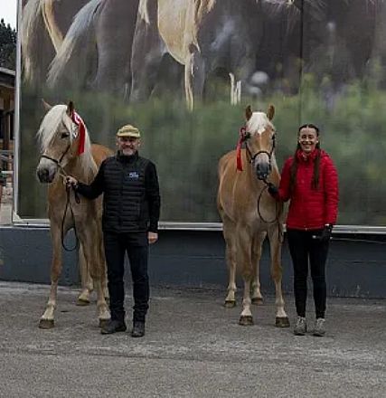Drei Menschen stehen lächelnd neben jeweils einem Haflinger-Pferd, vor einem großen Wandbild, in einer ländlichen Umgebung.