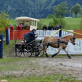 Cavallo al trotto traina una carrozza su terreno fangoso in un ambiente campestre, con spettatori sullo sfondo vicino a un edificio in legno.