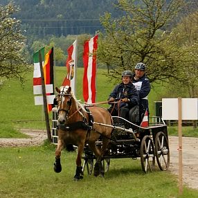 Carrozza trainata da cavalli con due persone, attraversa un prato verde. Bandiere sventolano sullo sfondo, alberi e colline in lontananza.