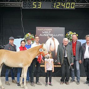 Gruppe von Menschen posiert mit einem Haflingerfohlen vor einem Schild "Haflinger Weltausstellung" auf einer Bühne mit digitaler Anzeige oben.