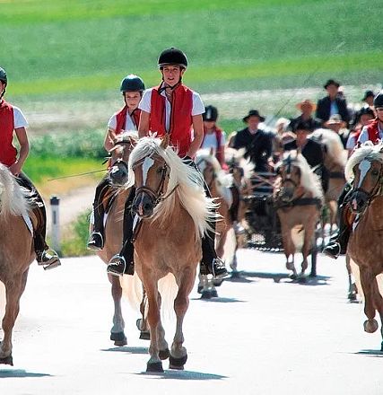 Gruppe von Menschen auf Haflingerpferden reitet eine ländliche Straße entlang. Vorne vier Reiter in roten Westen, im Hintergrund weitere mit Kutschen.